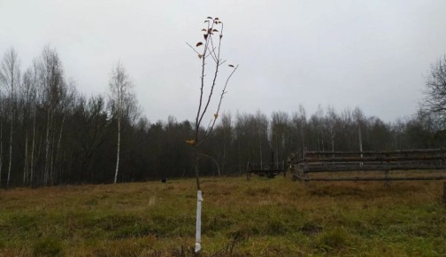 ��� ��������� ������� ������ � ������ ������: �������� ������� ������