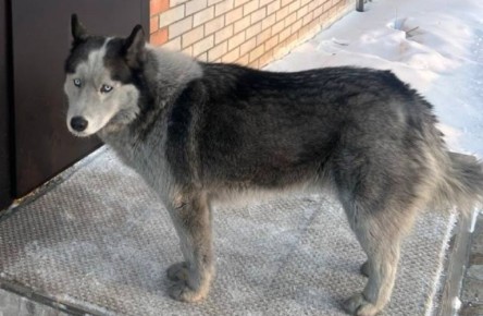 ��� ���� ������ ���� ���� ��������� ������� � ��������� ������