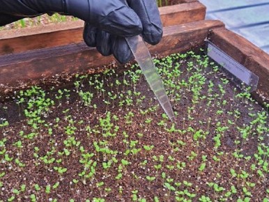 � ������������ �������� ������� ������� ��� ���������� ��������� �����