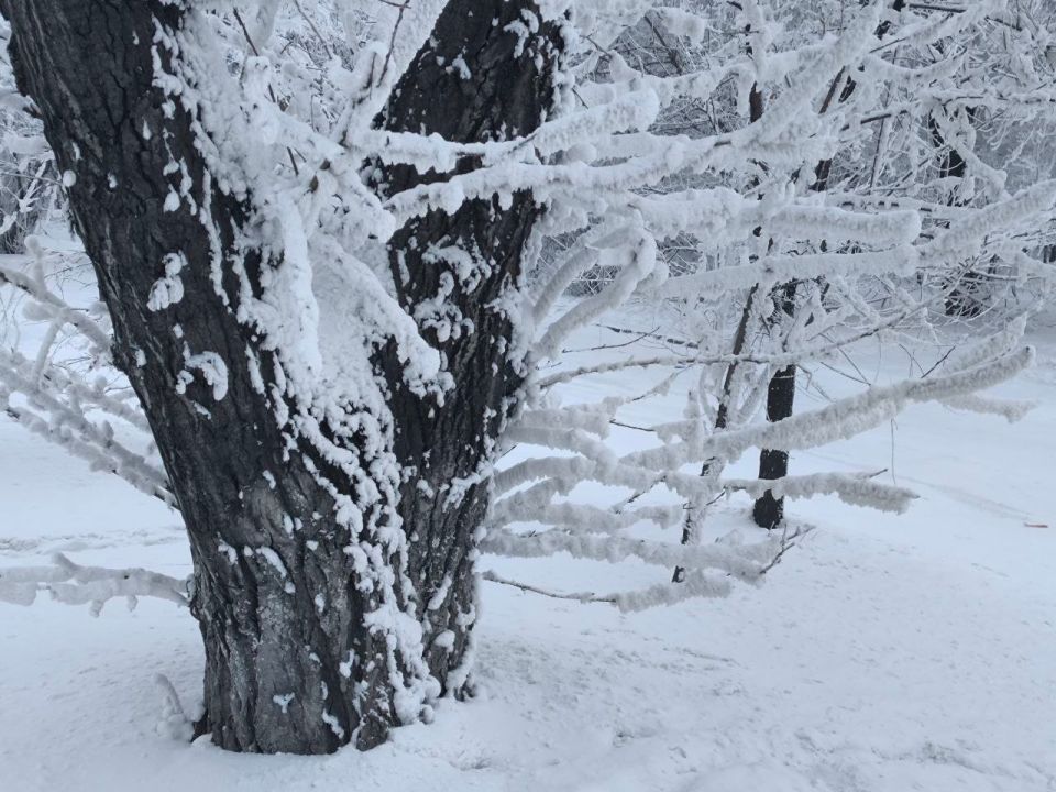 ���������� ������� � ����������� �������