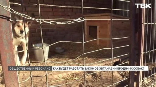 ������ 1 ���. ����� � ������� ����������� ����� ������� � 1 �����