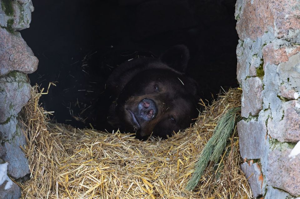 ������� ����� �� ������ � ������������ ������� �����