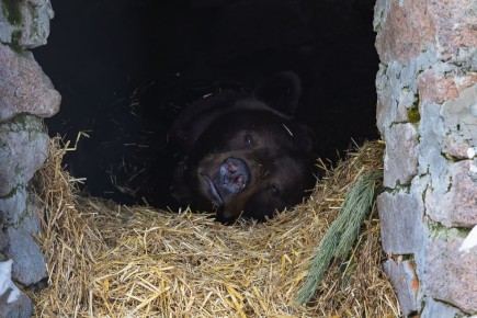 ������� ����� �� ������ � ������������ ������� �����