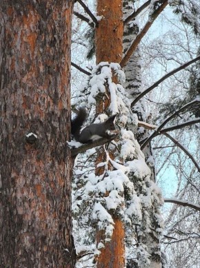 ������ ����!. ����: ������� ������ #���������������