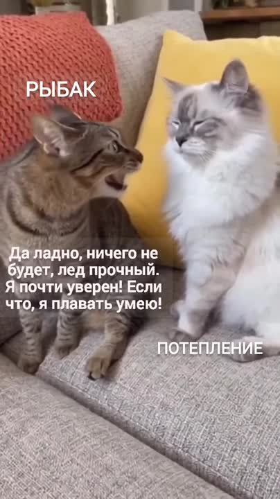 ��������� �������. � ����� � ��������� � �������� ������� ����������� �� ����� ������������� ���� ������� ������ �� ��������� �������