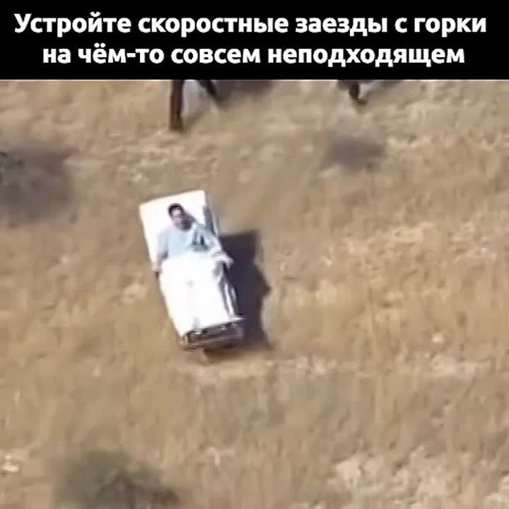 Если вы ещё не определились с планами на сегодняшний день — вот несколько вариантов, чем можно заняться вместе со своим дорогулисом