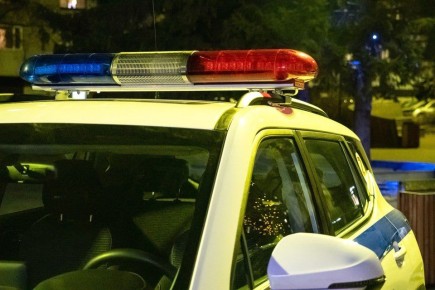 В Красноярске женщина выкинула с балкона 14-го этажа двух кошек и собаку