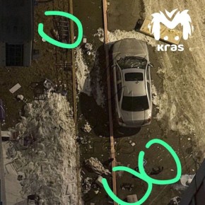 Двух кошек и собаку выбросили с 14-го этажа в красноярском ЖК "Орбита"