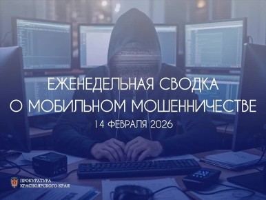 Традиционная сводка о мобильном мошенничестве на 14 февраля 2026 г