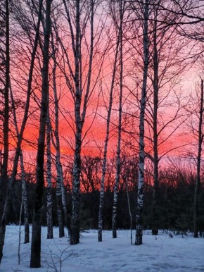 Закат накануне в Академгородке