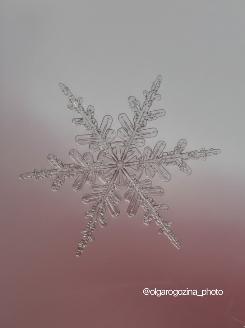 Уникальные снежинки в объективе Ольги Рогозиной Уникальные снежинки в объективе Ольги Рогозиной