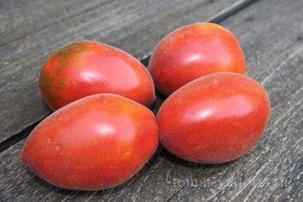 Томат Лапоть из Садовки как крупноплодный сорт с характерной формой и насыщенным вкусом