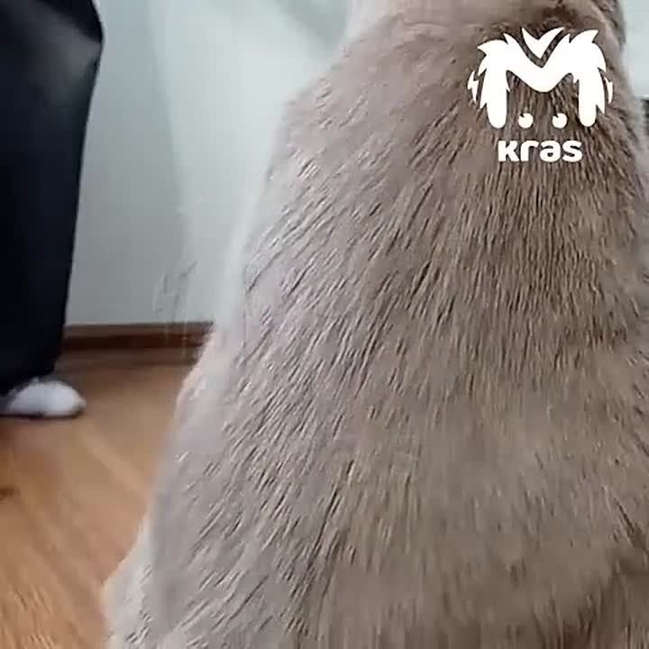 ���������� ����������� ������� ���� ��������� �������