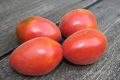 Томат Лапоть из Садовки как крупноплодный сорт с характерной формой и насыщенным вкусом