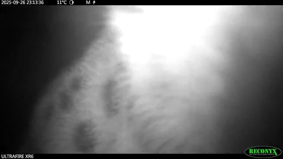 ������ ��������� ����������� �� ���������