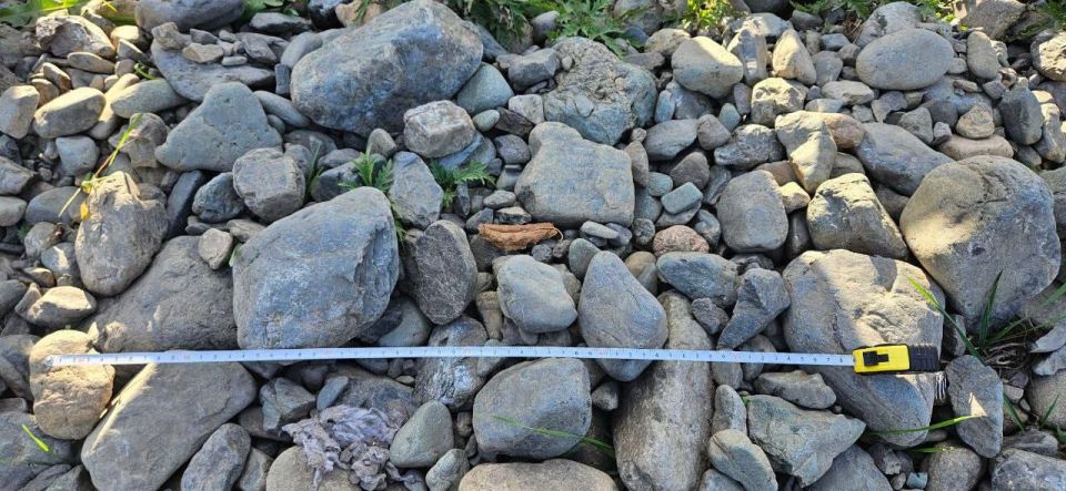 ������������ ��������� ���������� � ����������� ������ �������� ����������� �������� �������� ������ ��������