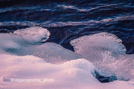 Загадочные узоры природы. Фото: Ольга Рогозина ТВК