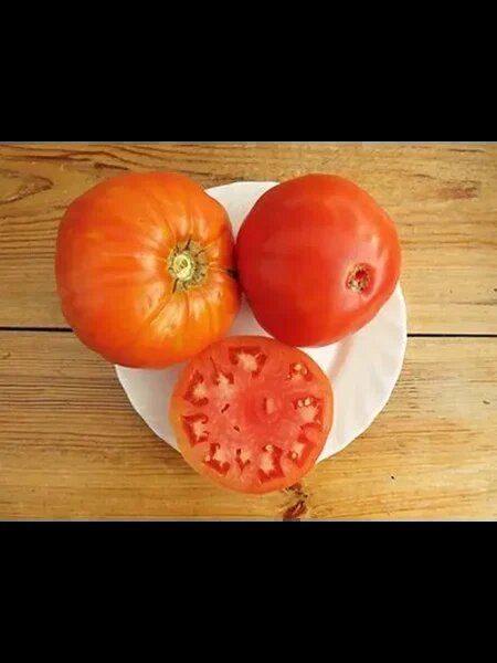 ����: ��� ��������� ������� ������ ������ � �� ������� ����