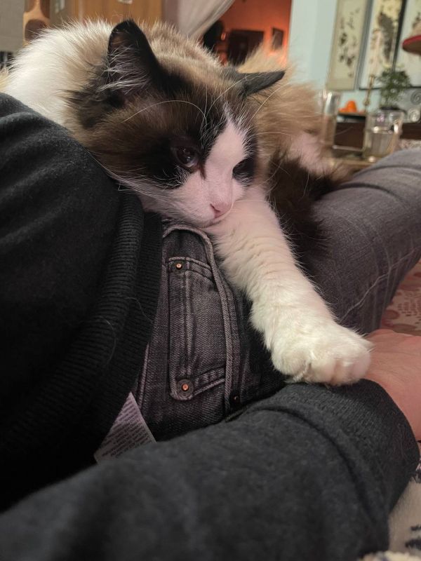 ������, ����� ��������, ��� �� ����� - ���� �����������! ����� �����