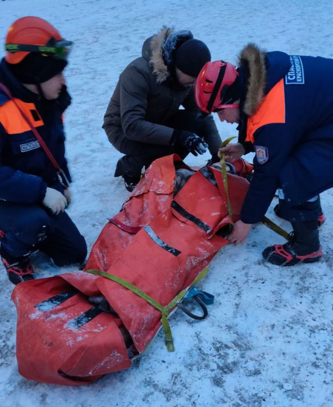 � �������� ������������� ������� �������� ��������� ������ ��� ��������