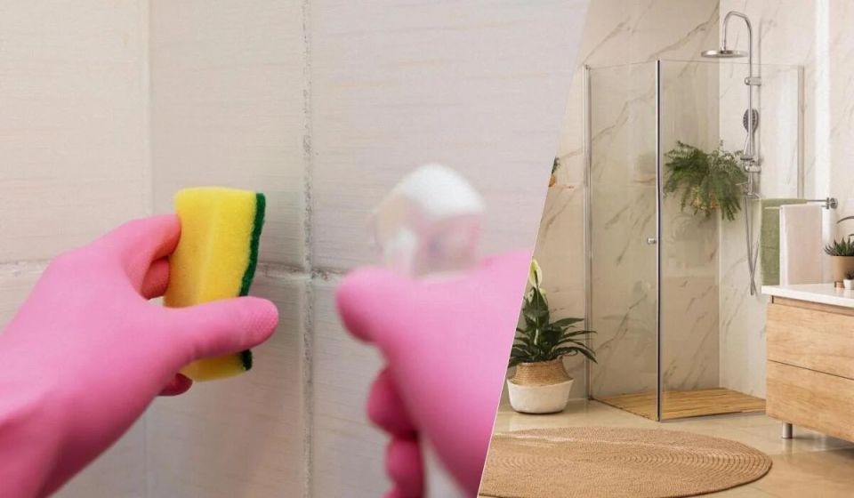 ������� ������ � ������ ��������: ����������� ������ � ������