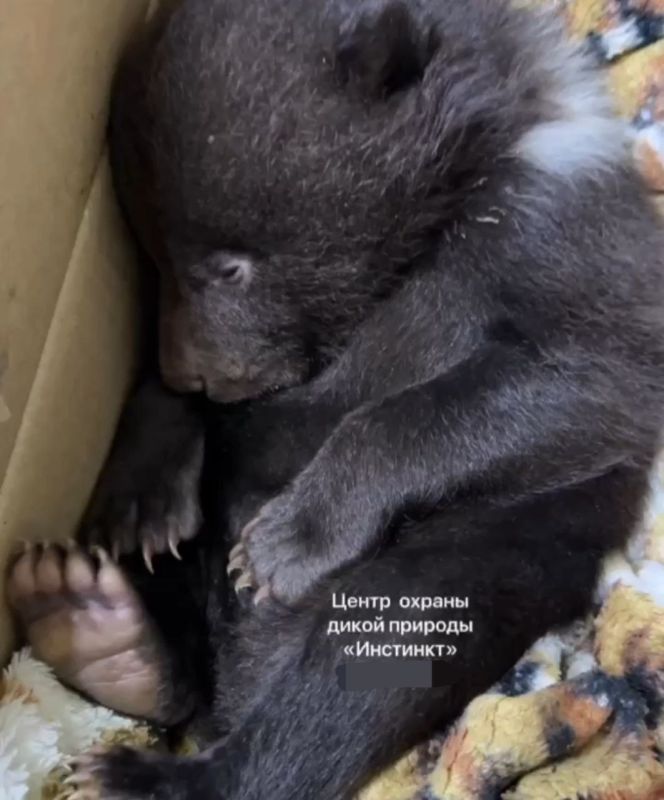 ������ ������������� ���� ������ ���������� �� ������