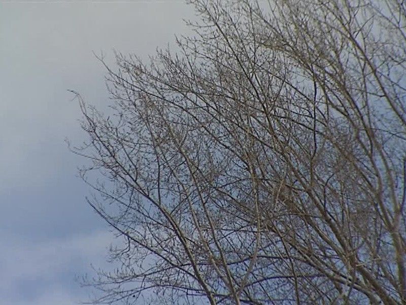 ����������� ������������� � ������� �����