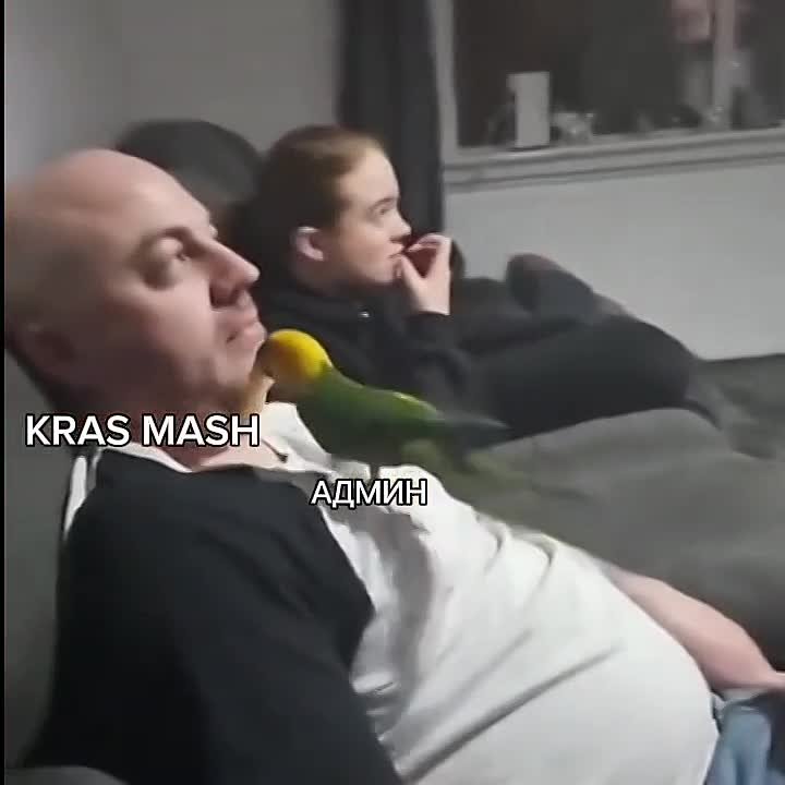 Стать соавтором одного из крупнейших телеграм-каналов в Красноярске очень просто