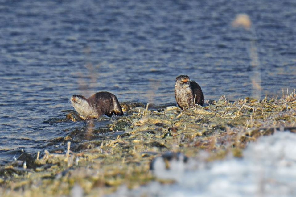 ����� �� ������ �������. ������� ������� ����� ��������� ���������� ����, ������������ �������� ������� � ����, ���� ��� ����� ������������ ���, ������� ������ ��������� � ���������, ������������� ���� ���������� ��������...