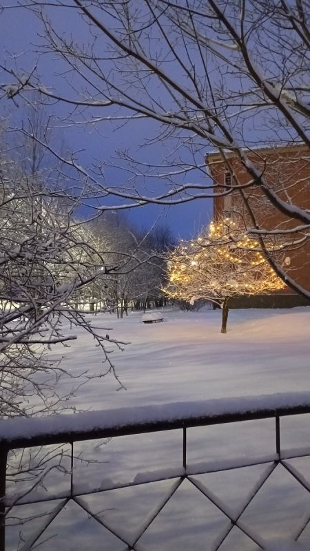 ����� �� ������: ������� ������� � ���������� ������