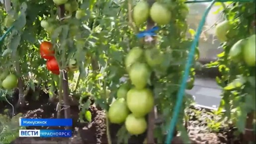 Минусинские садоводы готовятся к новому сезону