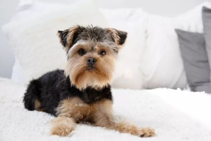 ��� ���������� �� ������ ������ � ����: 8 ��������, ������� �� �� �����