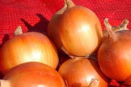 ������ ��� ������ ���� �������� �������� � �������: ������� �����������