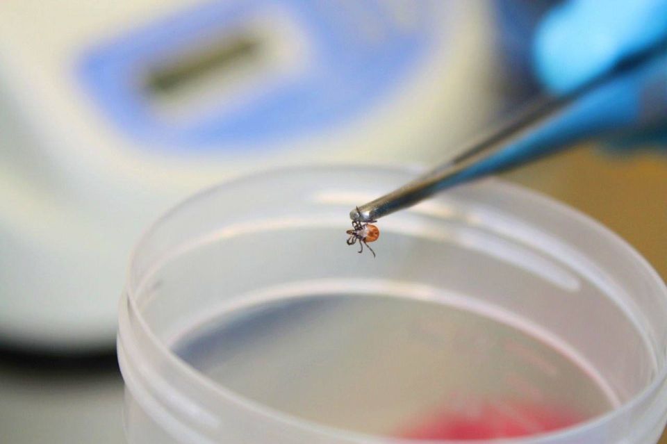 ����������� ����������, ��� ������ � ��������� ������