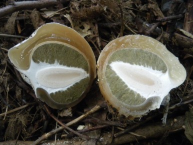 ����� ��������� ������: ��� �������� ������ ������������?