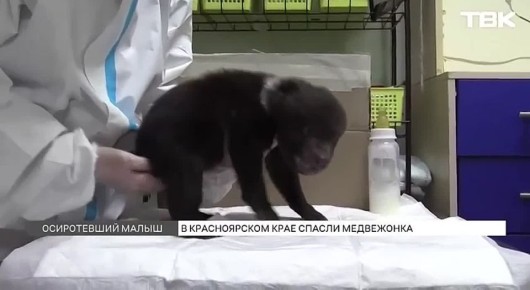 ��������� ������: ��� ��������� ��������� �� �����������, ��������� �� ���������� � ���������