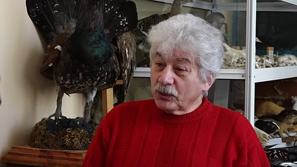 НЕ ТАК СТРАШЕН ВОЛКОСОБ, КАК ЕГО РОДИТЕЛИ