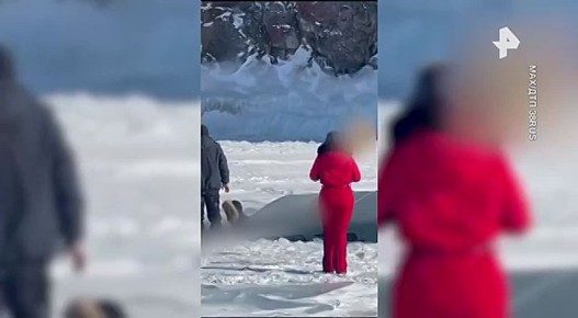 � �������� ��������� �����, ��� �������� � ��������� ���� ��� �� ��������