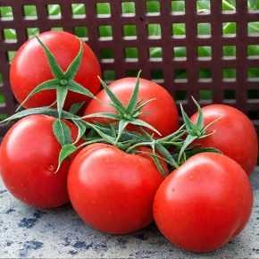 ����� ����: ��������� ����� ��� �������� � ��������