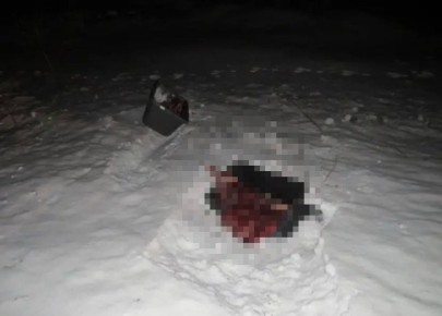 Житель Красноярского края застрелил двух косуль и попал под уголовное дело