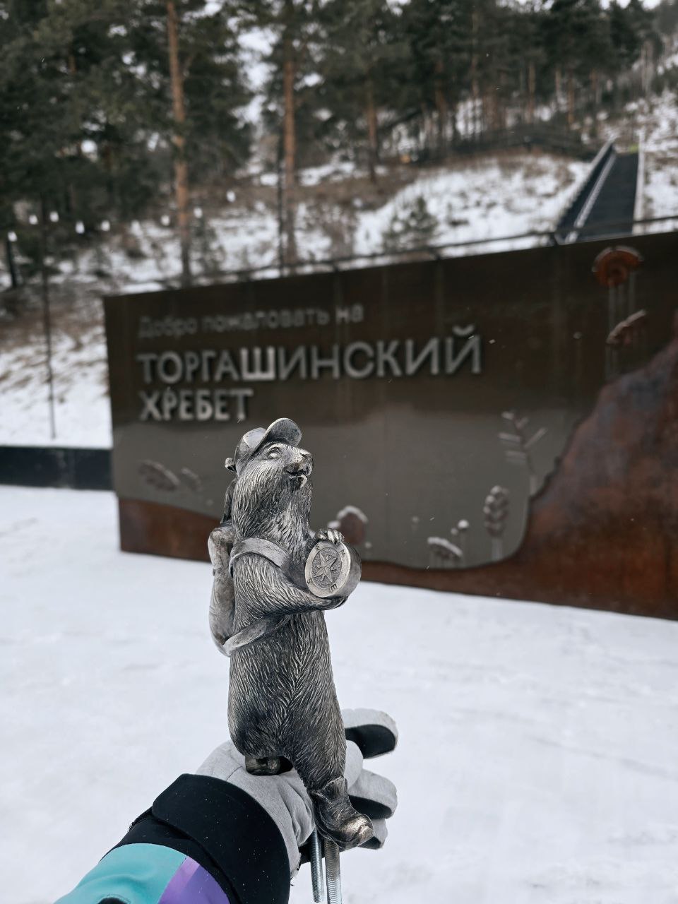 На лестнице к Торгашинскому хребту поселился суслик-путешественник