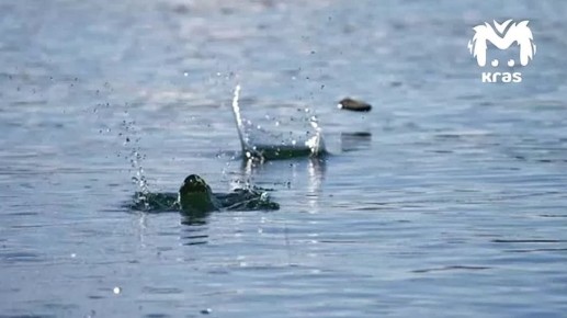 � ����������, ������!. ������� ���-�� �� ������� �������, � ����-�� ������ �� ��, ��� �� �����