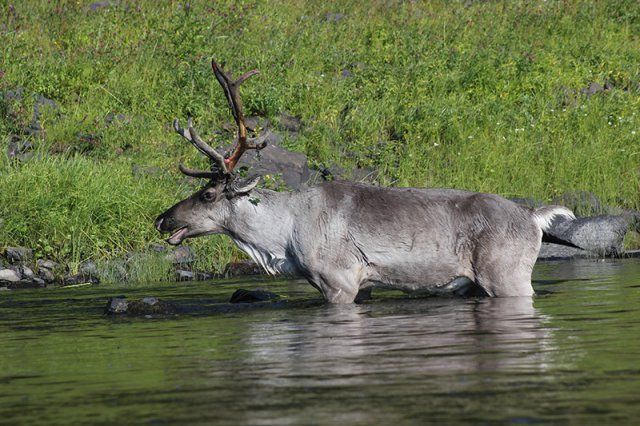 �������� �������������� ��������� ������������� �� ������� �����������