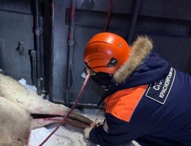 ��������� ������� ������, �� �������� ������ ������