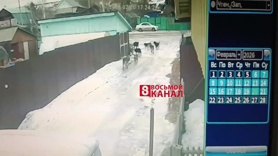 ���� ����� ������������� ������� ���������