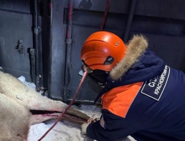 � ����������� ��������� �������� ������������� ������, ������������� �� �����