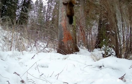 � �������� ���������� ��� �� ��� ���� ������ ��������� �����������