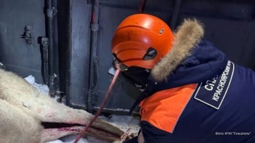 �������������� ������, �������� ������� �����, ������ � �����������