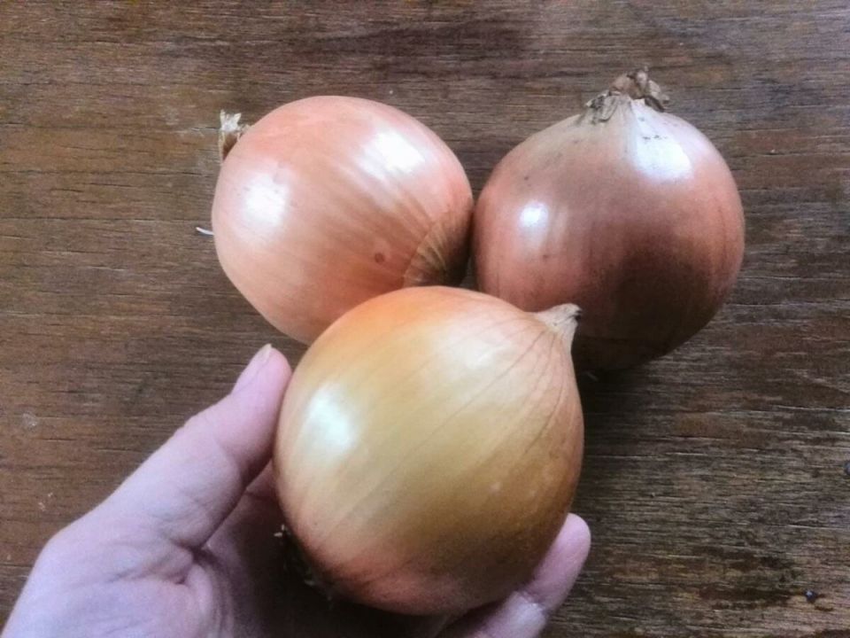 ��� ��������� ������� ��� �� �����������: ������� ��������� �������