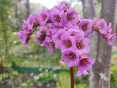 ������������� ����� ���: ������������ ������� ��� ������ ����